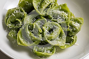 Pasta Bowl of green ravioli with parmesan