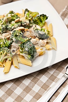 Pasta with chicken and broccoli dish