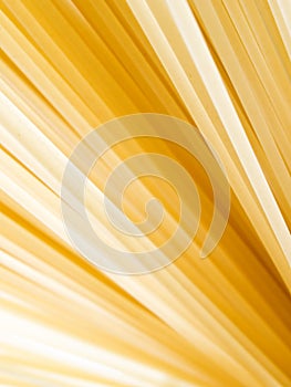Pasta closeup background.