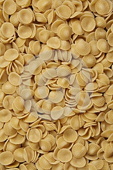 Pasta concept a lot of the dry circle, shape of ears-like orecchiette pasta put down together