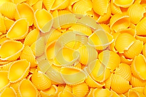 Pasta - Conchiglie