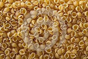 Pasta conchiglie background