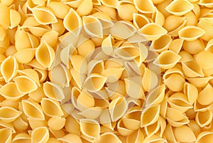 Pasta Conchiglie