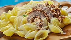 Pasta Conchiglie with Tuna