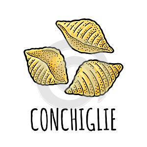 Pasta conchiglie. Vector vintage engraving color illustration