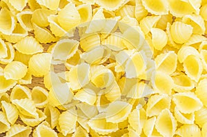 Pasta conchigliette for background