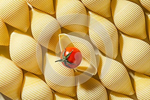 Pasta conchiglioni pattern with fresh red tomato cherry. Abstract creative food background. top view