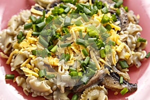 Pasta in a creamy sauce with mushrooms in a plate sprinkled with cheese and green onions on the table