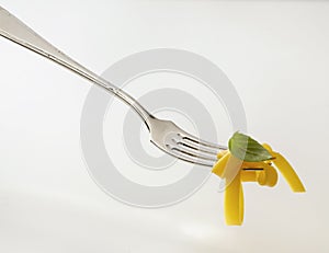 Pasta on a fork photo