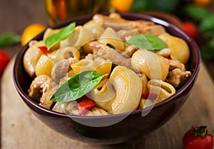 Pasta Gomiti Rigati with meat and vegetables