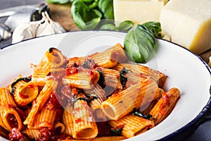 Pasta. Italian and Mediterrannean cuisine. Pasta Rigatoni with tomato sauce basil leaves garlic and parmesan cheese.