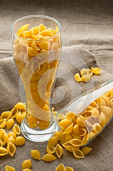 Pasta macaroni concept photograph: pasta shells in glass