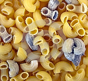 Pasta with mold