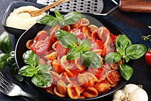 Pasta orecchiette. Plate of delicious orecchiette with tomato sauce garnished with parmesan cheese and basil on rustic background