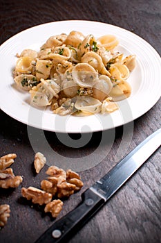 Pasta orecchiette with walnuts and herbs