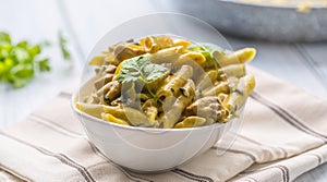 Pasta pene with chicken pieces mushrooms parmesan cheese sauce a photo