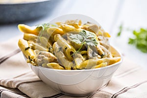 Pasta pene with chicken pieces mushrooms parmesan cheese sauce a photo