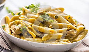 Pasta pene with chicken pieces mushrooms parmesan cheese sauce a photo