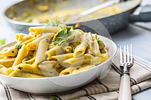 Pasta pene with chicken pieces mushrooms parmesan cheese sauce a photo