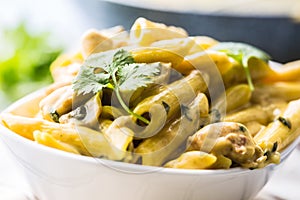 Pasta pene with chicken pieces mushrooms parmesan cheese sauce a photo