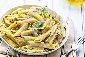 Pasta pene with chicken pieces mushrooms parmesan cheese sauce a photo