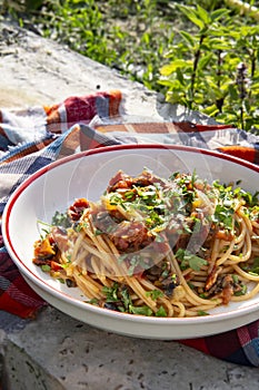 pasta putanesca, spaghetti with anchovies, recipe illustration, Italian cuisine photo
