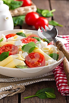 Pasta salad with fresh red cherry tomato and feta cheese. Italian cuisine photo