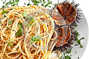 Pasta with sea urchin