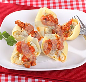 Pasta Shells
