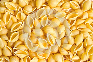 Pasta shells