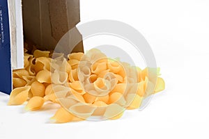 Pasta Shells