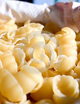 Conchiglie 