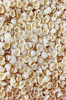 Pasta shells. Pasta background. Tasty background