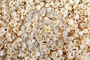 Pasta shells. Pasta background. Tasty background