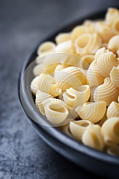 Pasta Shells