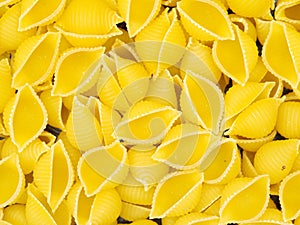 Pasta shells, raw macaroni