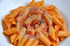 Pasta and tomato photo