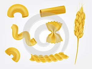 Pasta types and forms realistic vector set