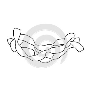 Pasta vector outline icon. Vector illustration spaghetti on white background. Isolated outline illustration icon of