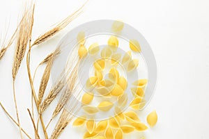 Pasta and wheat spikelets on a white background. Italian food recipes. Top view, flatlay, copy space