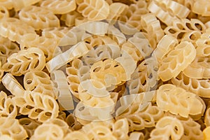 Pasta on a white background close-up macro isolated