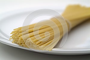 Pasta on White Plate