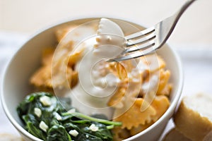 Pasta with white and red sauce photo
