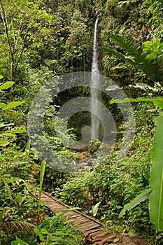 Pastaza Waterfall photo