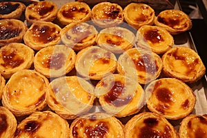 Pasteis de nata photo