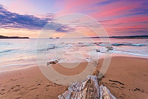 Pastel beach sunrise as gentle waves wash ashore