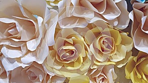 Pastel beigh soft color scheme roses background valentine's backdrop craft paper flowers
