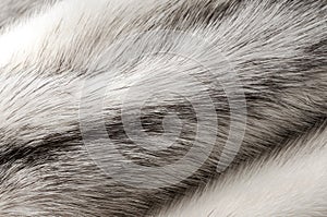 Pastel black cross mink fur texture