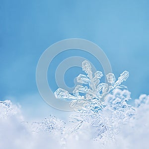 Pastel Blue Snowflake