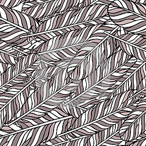 Pastel brown seamless pattern with feathers. Style Elements. Vector Drawing.